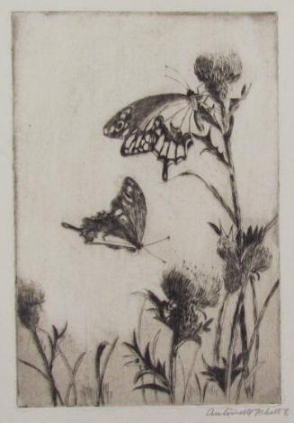 Untitled (Butterflies On Thistles)