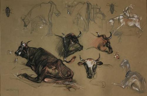 Study Of Barnyard Animals