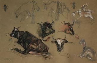 Study Of Barnyard Animals