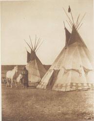 Blackfoot Tipis