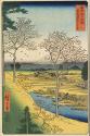 Twilight Hill at Meguro in the Eastern Capital, from Thirty-six Views of Mt. Fuji
