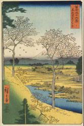 Twilight Hill at Meguro in the Eastern Capital, from Thirty-six Views of Mt. Fuji