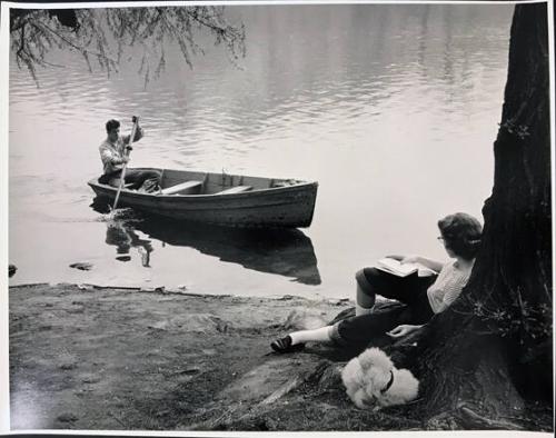 Central Park (Rowing Boat)